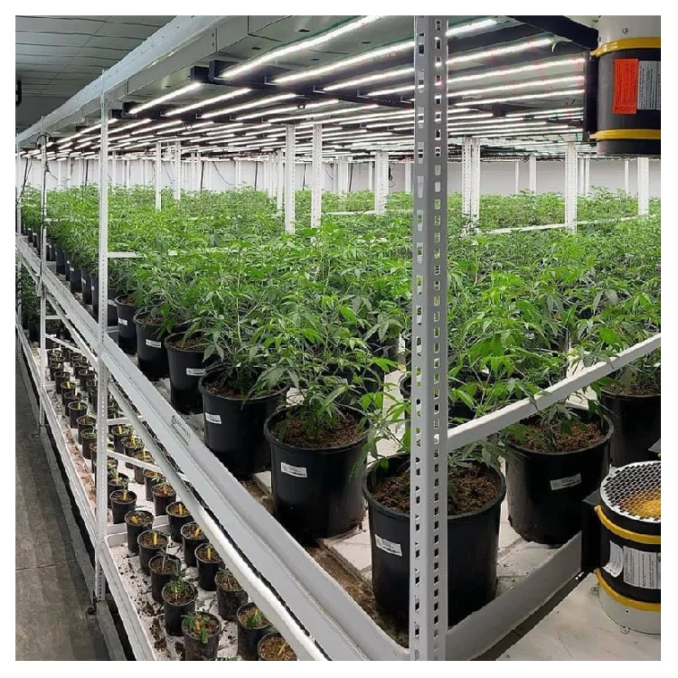 Indoor Growing Multi Floor Plant Racks Racking System Vegetable Mobile Vertical Grow Multilayer Rack