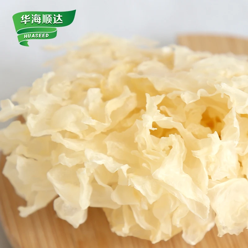 Chinese dried snow fungus high quality dried tremella fuciformis mushroom