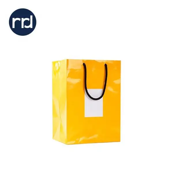 Custom Make Recycled Wedding Gift Luxury Clothing Packaging Shopping Bags With Logo