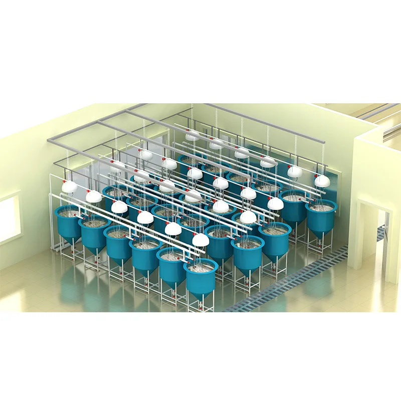 Recirculating Aquaculture RAS System Ras Fish Farm Filter System