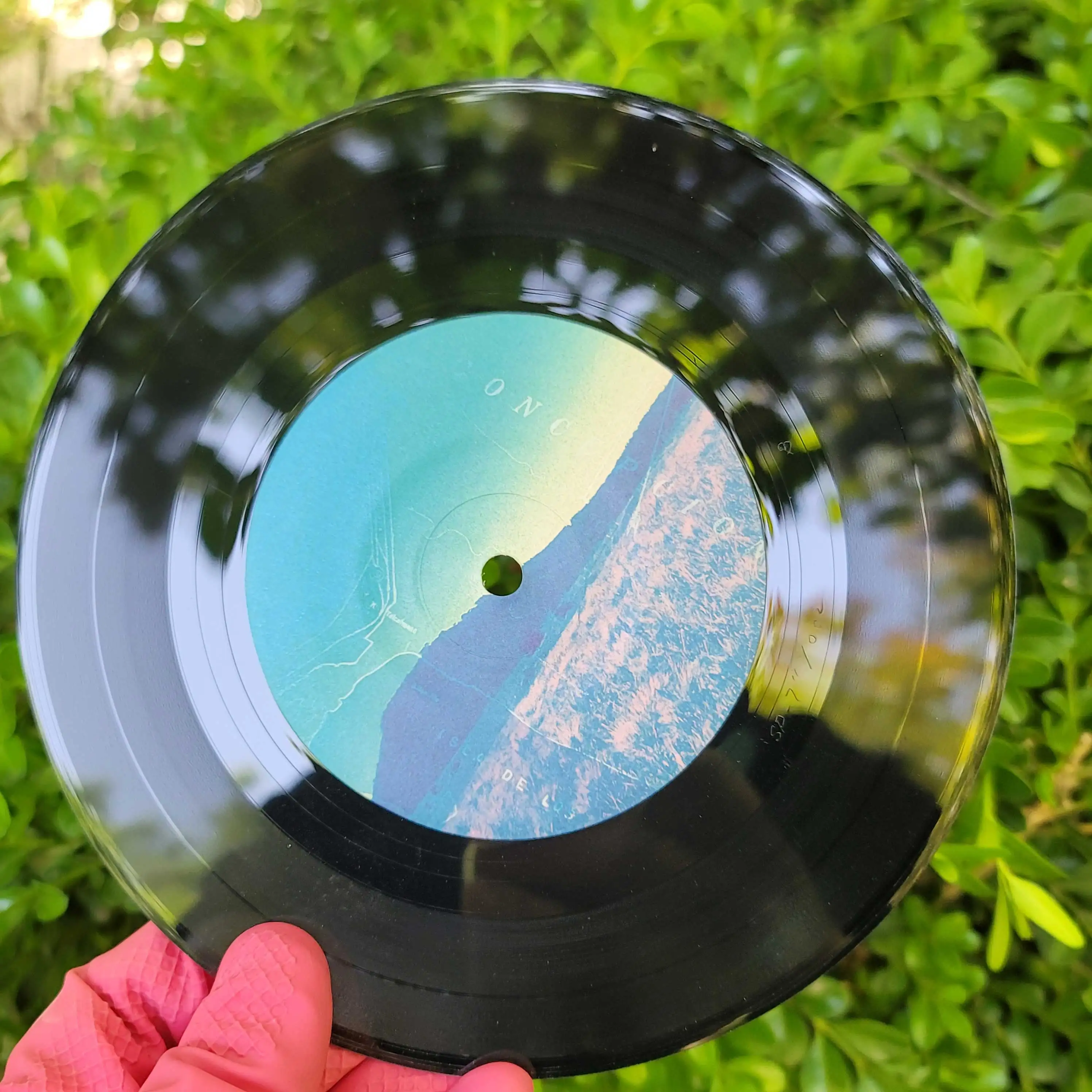 Cheap Music Record Vinyl In Jacket Custom Vinyls Records Cover Blank Vinyl Records