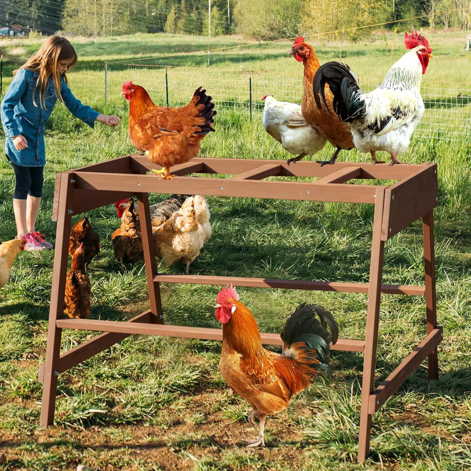 Chicken Roosting Bars Chicken Coop Accessory Chicken Toys
