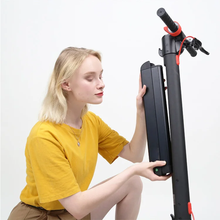 Silver Wings Powerful Adult Scooter Electric Two Wheel Foldable Fast E Electric Scooter