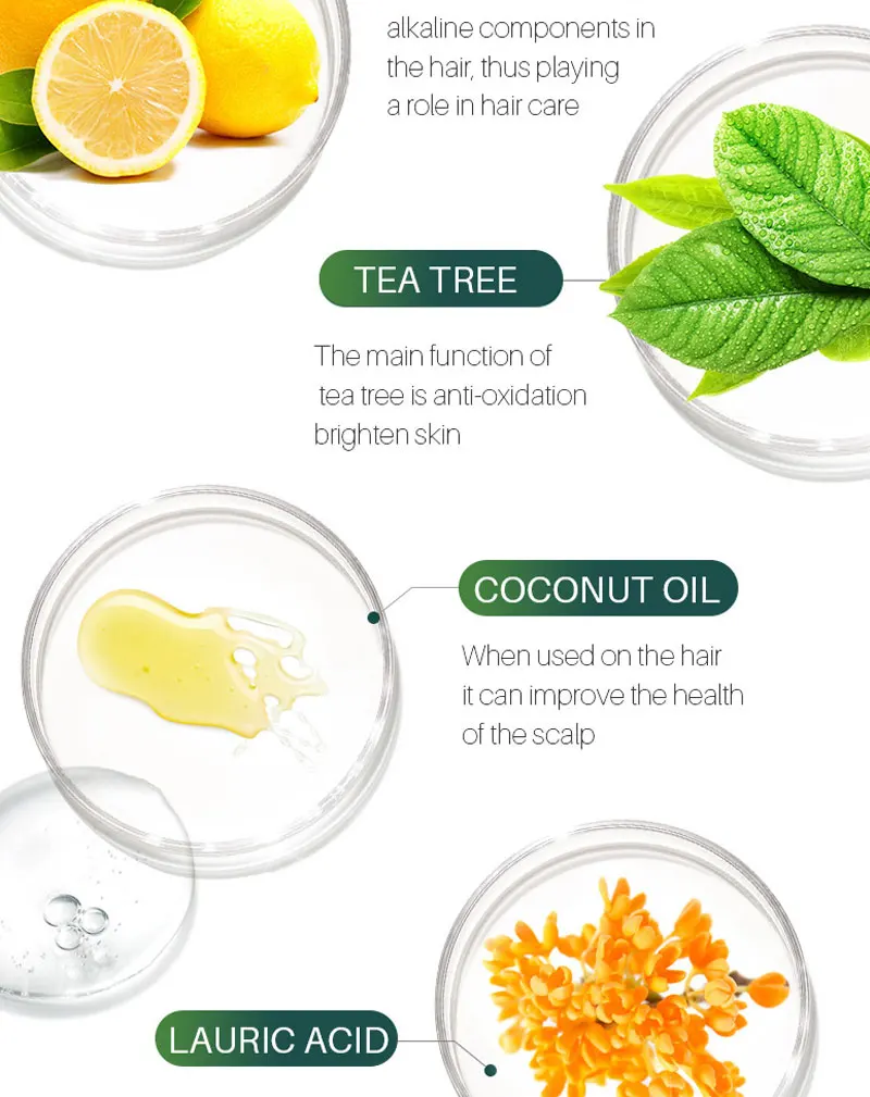 argan oil salon vegan coconut oil shampoo organic100% natural private label rice water tea tree wig hair care sets