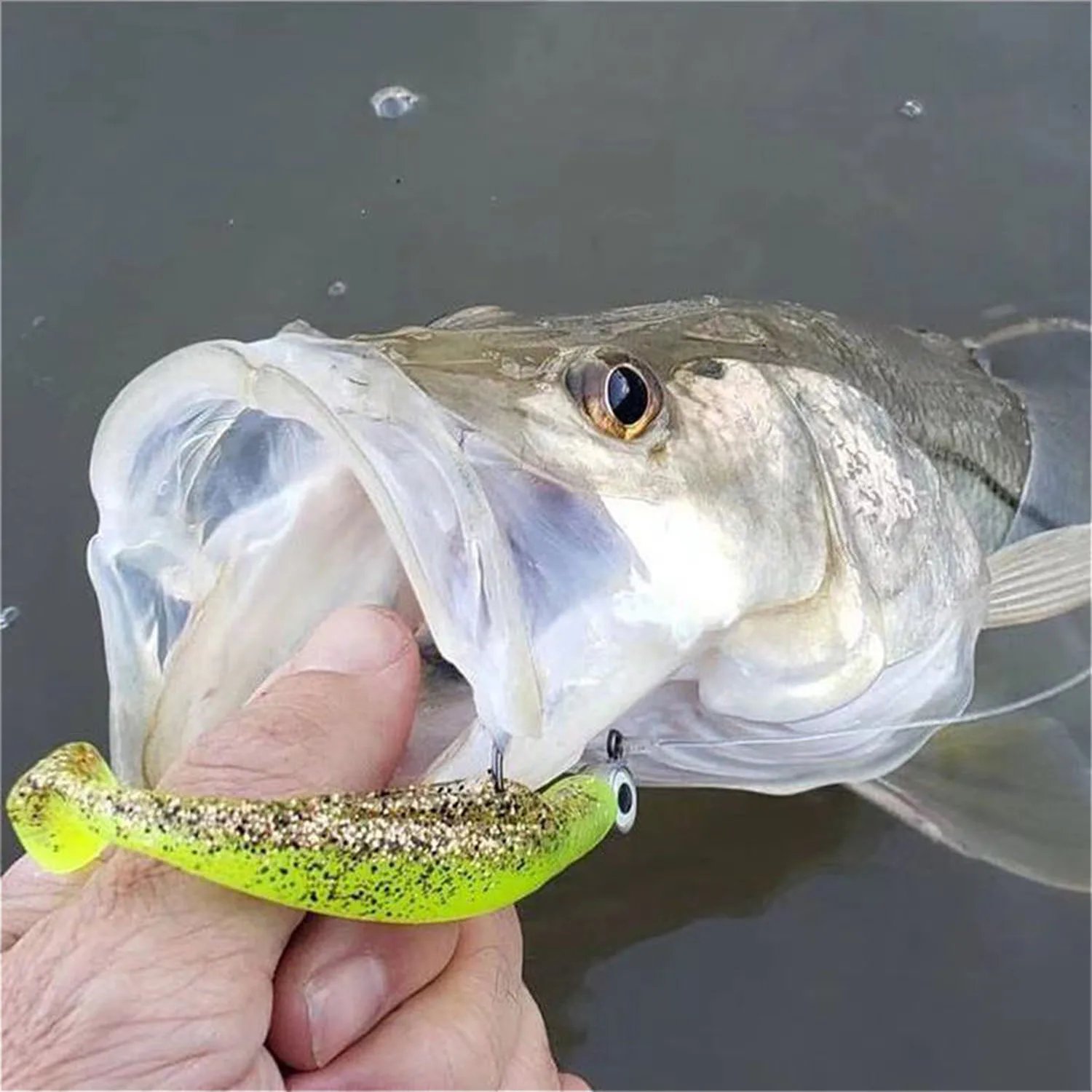 Mixed Color artificial bait 6cm 8cm 10cm soft TPR fishing bait T Tail shad lure Long tensile Soft Fishing Lure TPE Soft Bait