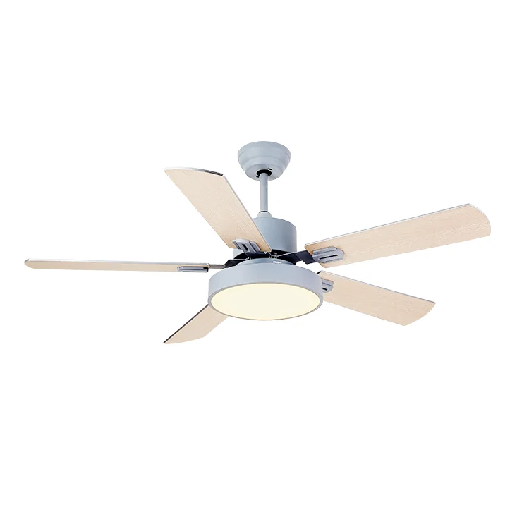 Foshan Lighting Contemporary Home Decorative Lighting LED Fan Ceiling Fan with Light & Remote Control