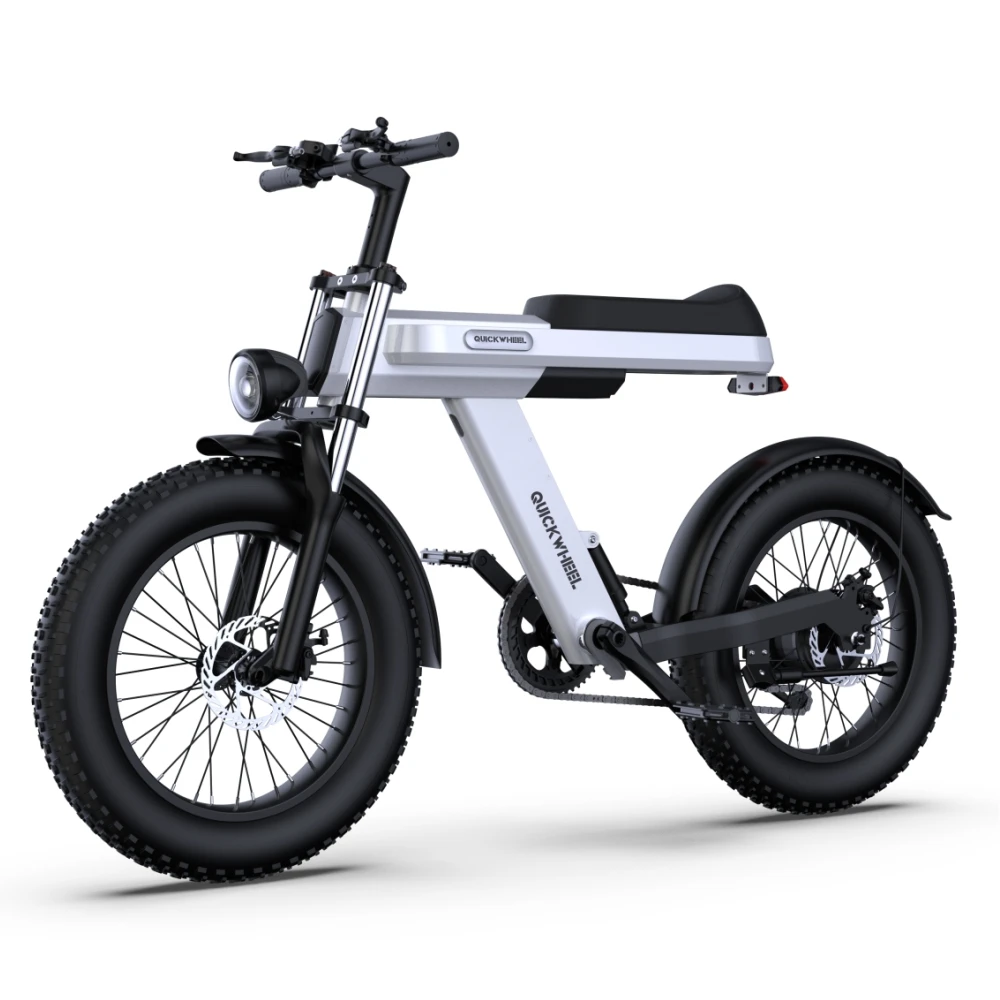 Factory Direct 20 Inch 48V 15Ah 1000W Motor Ebike Bicycle Powerful Mountain Electric Dirt Bike Fat Tire Electric Bike 24 Volt