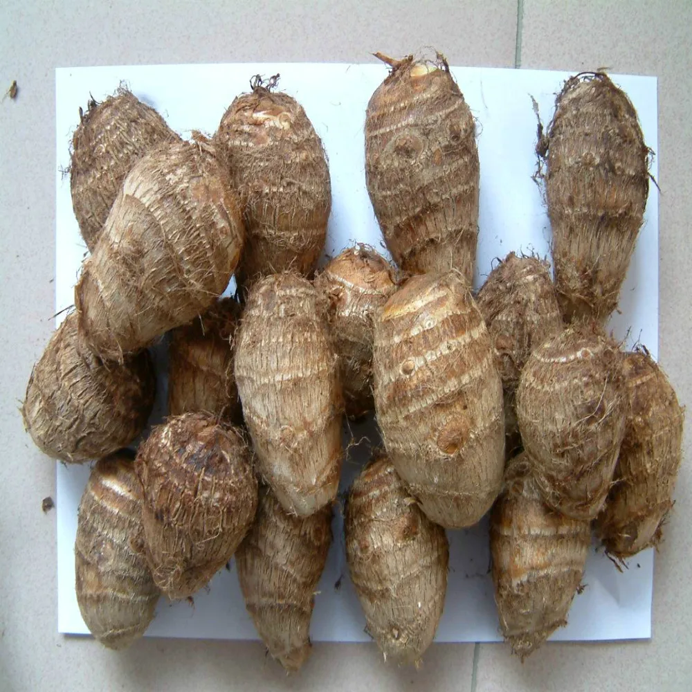 New harvest of Chinese taro factory supply fresh vegetables export from China