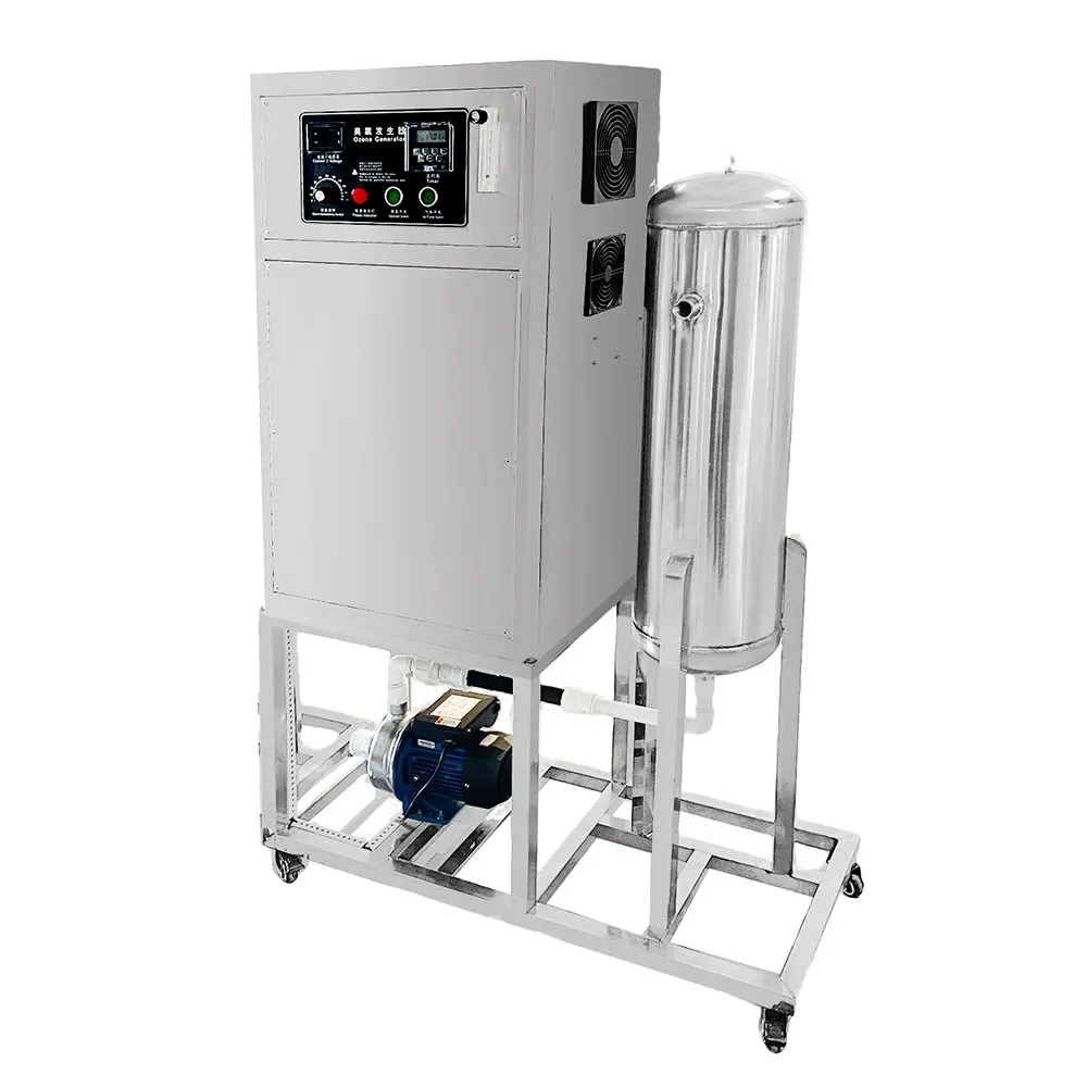 Built-in oxygen source ozone water generator Ozonated Water System for farming with mixing pump