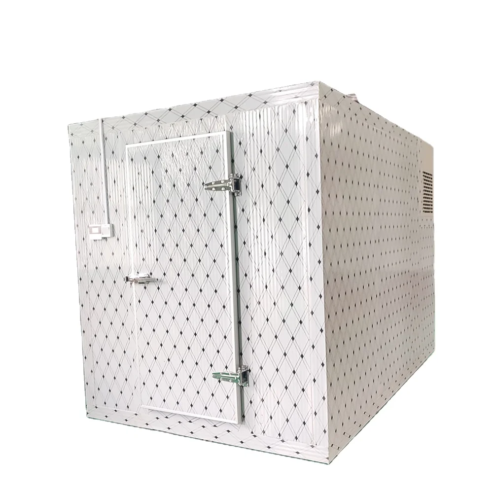 20ft 40ft cold storage refrigerator freezer vegetable fruit meat container cold room large freezer walk-in