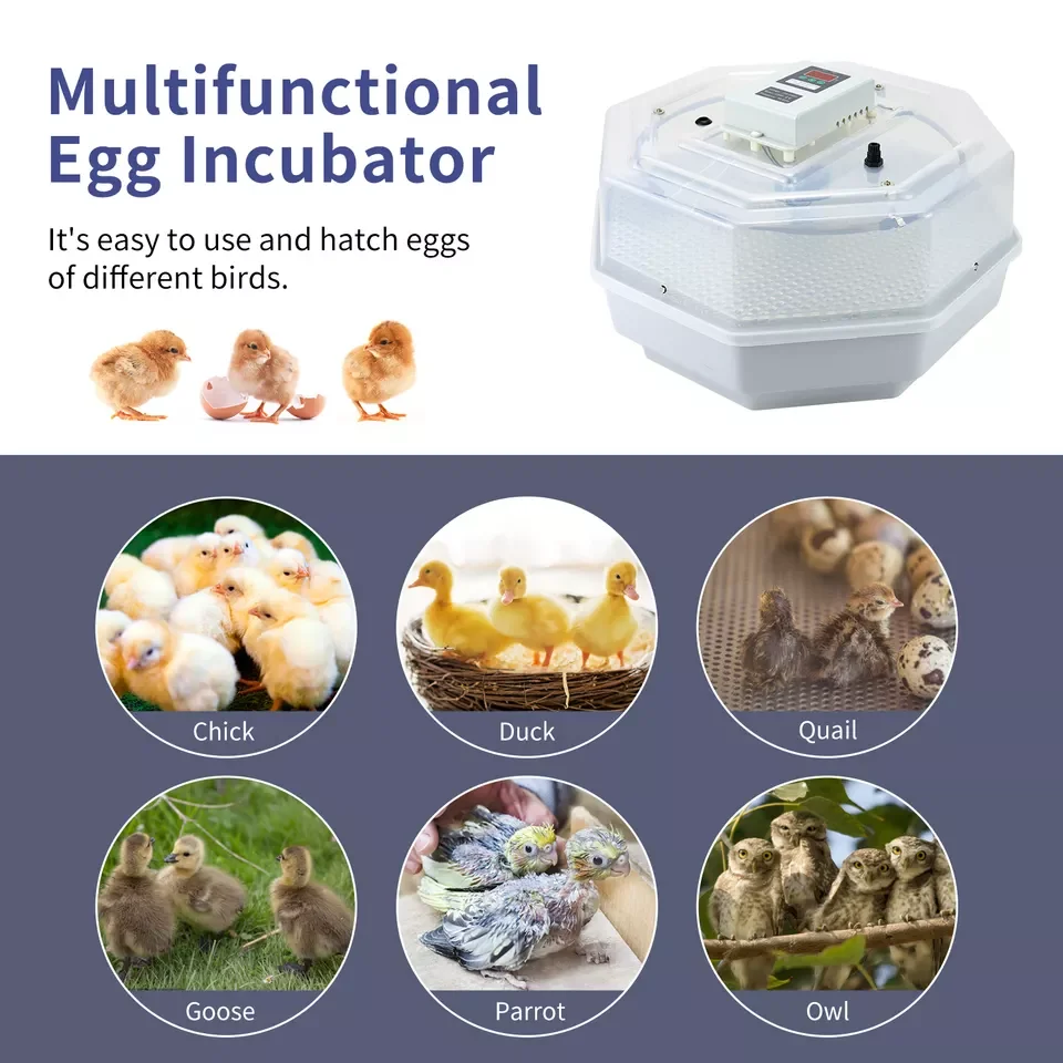JN2-60 Egg Incubators, Hatching Eggs, Chicken Incubator