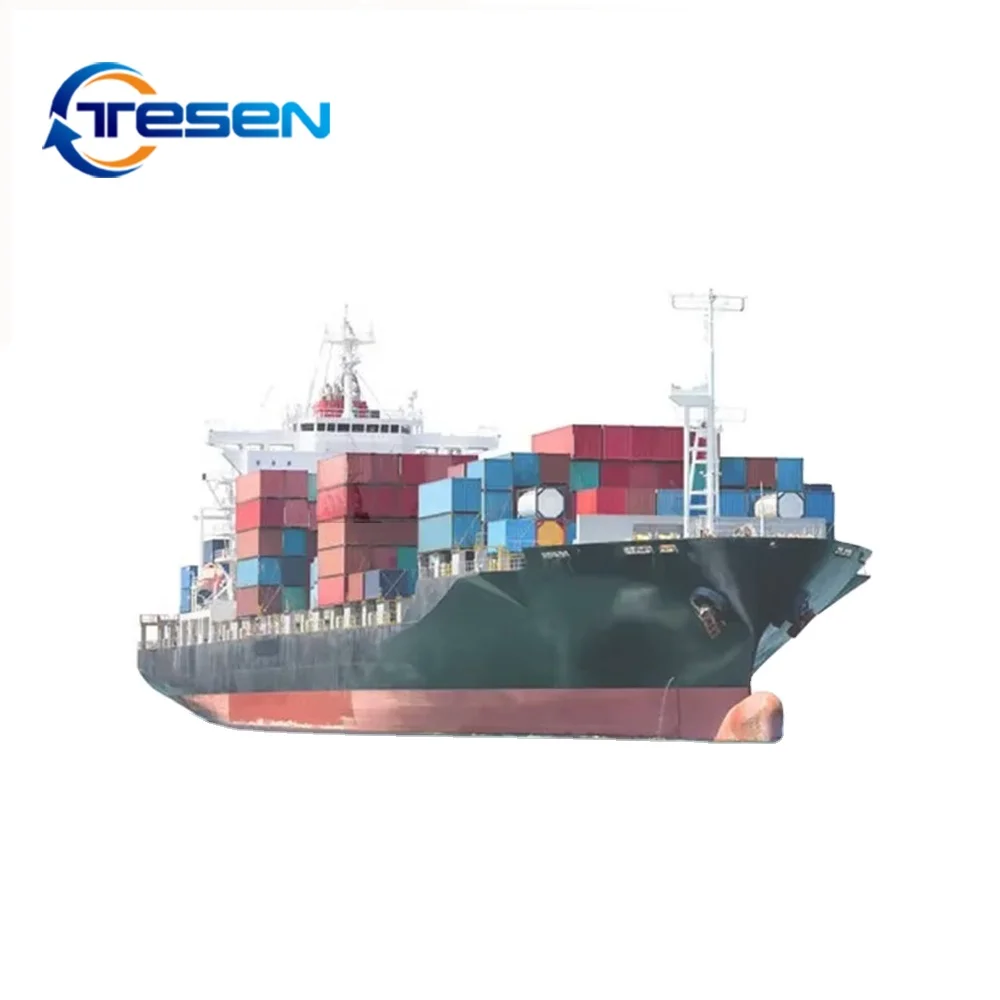 Sea ocean container shipping from Quanzhou to Cairo by an international logistics company