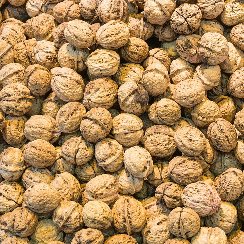 Premium quality walnuts for kazakhstan Cheap price raw walnuts for export Factory direct sales walnut snack