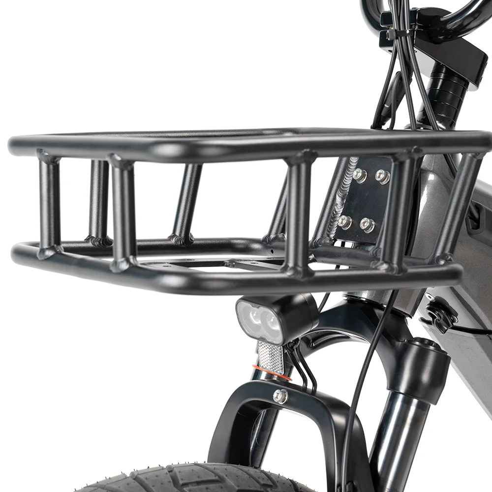 Mario 2 Wheels 250w 750w Bafang rear hub motor engine 20inch Fat tire electric  Cargo  bike