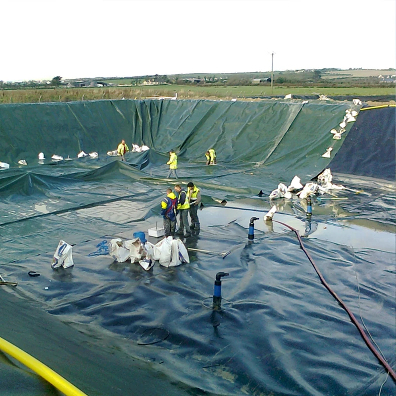 Geomembrane pond lake dam liner hdpe geomembrane for drainage ditch hdpe geo membrane
