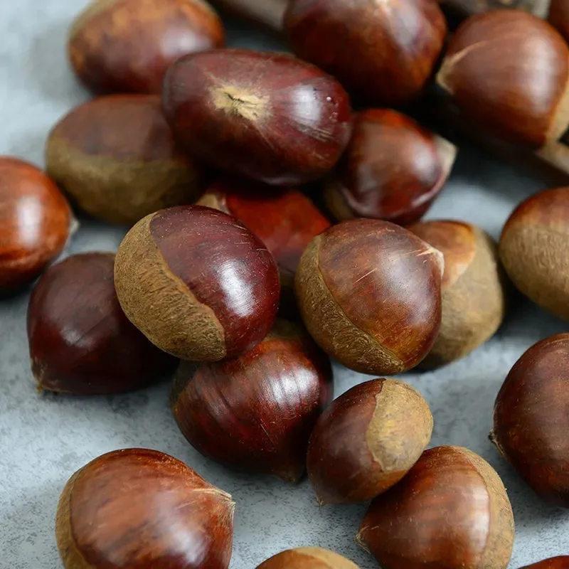 Fresh Hebei Chinese Chestnut Roasted and Peeled Organic Dried Raw Sweet Chestnut
