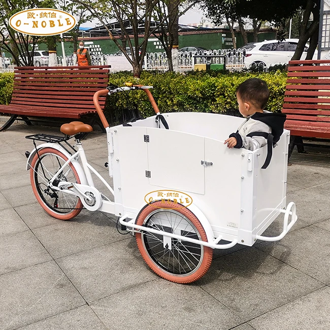 Electric cargo bike family use tricycle pedal aluminum frame