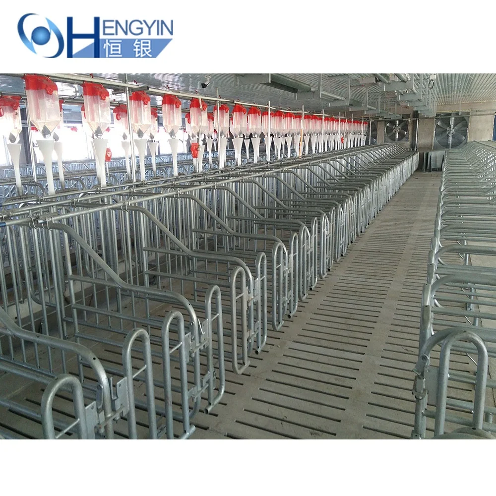 2024 new product  pig gestation pen hot sell sow gestation cages for pig high burden farming equipment