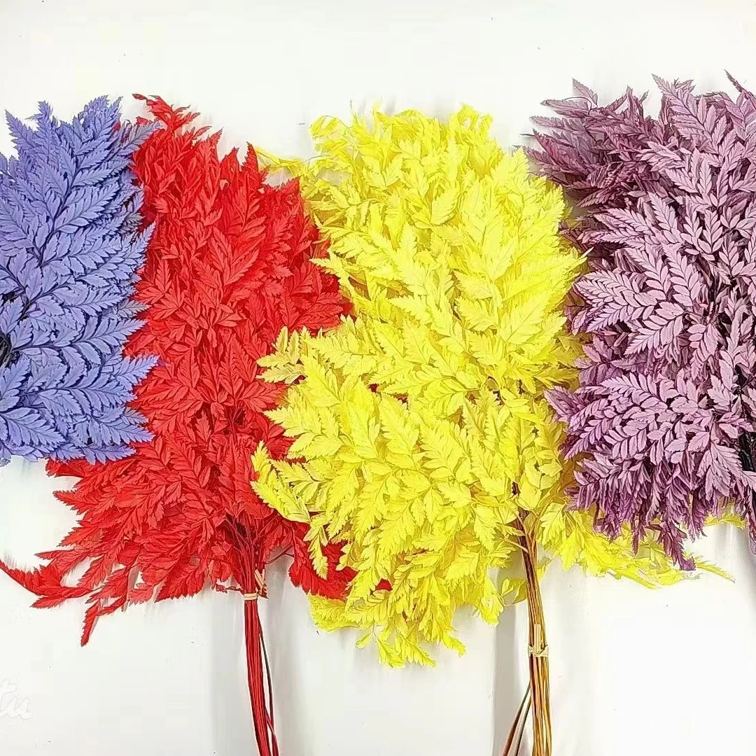 High Quality Flowers Arrangement Decorative Materials Preserved Alpine fern for decor