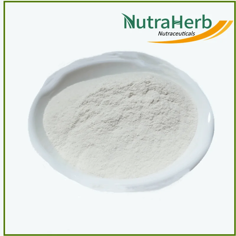 Manufacturer Supply Oyster Extract Powder Oyster Protein Oyster Peptide Powder for Drinks