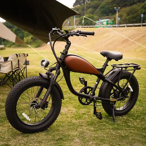 Green power vintage ebike electric bike electric city road woman ride 20inch fat tire from china
