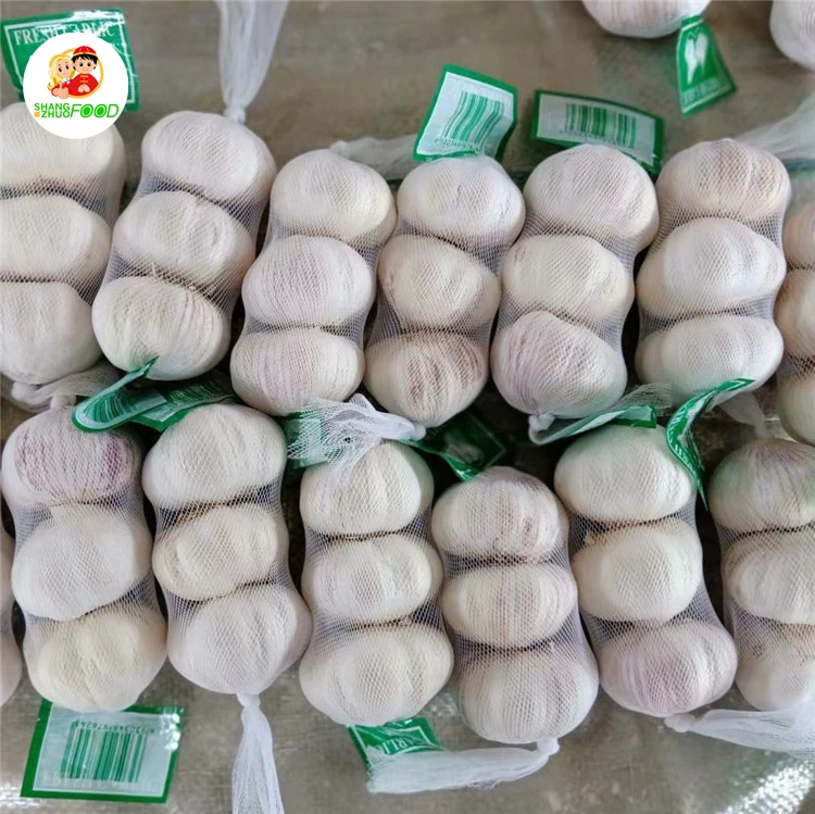  Высокое качество китайский чеснок красный вес оригинальный тип размер продукта свежий продукт модель культивирования стандартная
