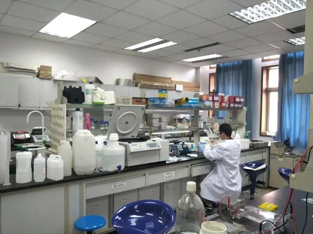 Purity 99% 1-Octanol / N-Capryl Alcohol Cas 111-87-5 China Manufacturer Supplier