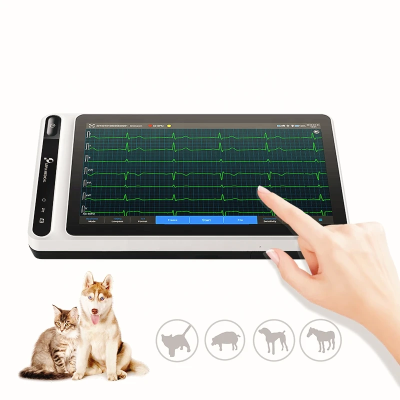 Touch Screen Animal Medical Mobile Heart Monitor Handheld Portable 6 9 12 Channel Veterinary ECG Machine