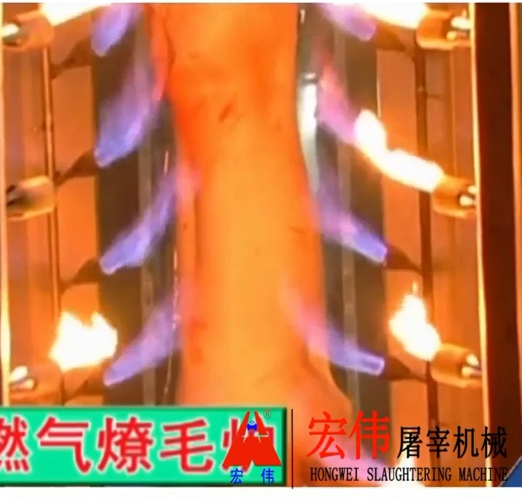 slaughtering equipment pig hair singeing burning furnaces machine