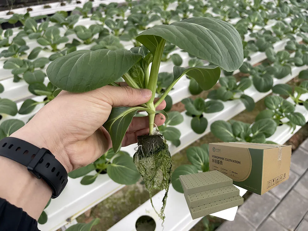 Hidroponic Foam Grow Cubes Starting Plant Substrate For Plants Seeds Vegetables