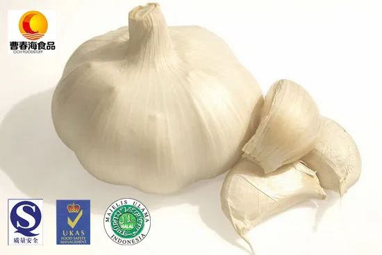 
China size 4.5-6.0cm natural garlic 