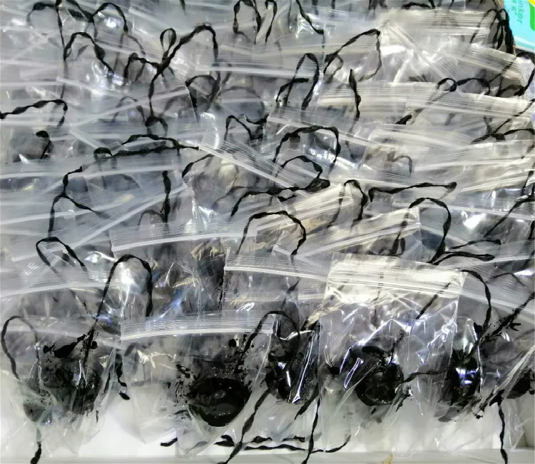 10 meters eyebrow mapping string thread black white ink thread for Permanent make up