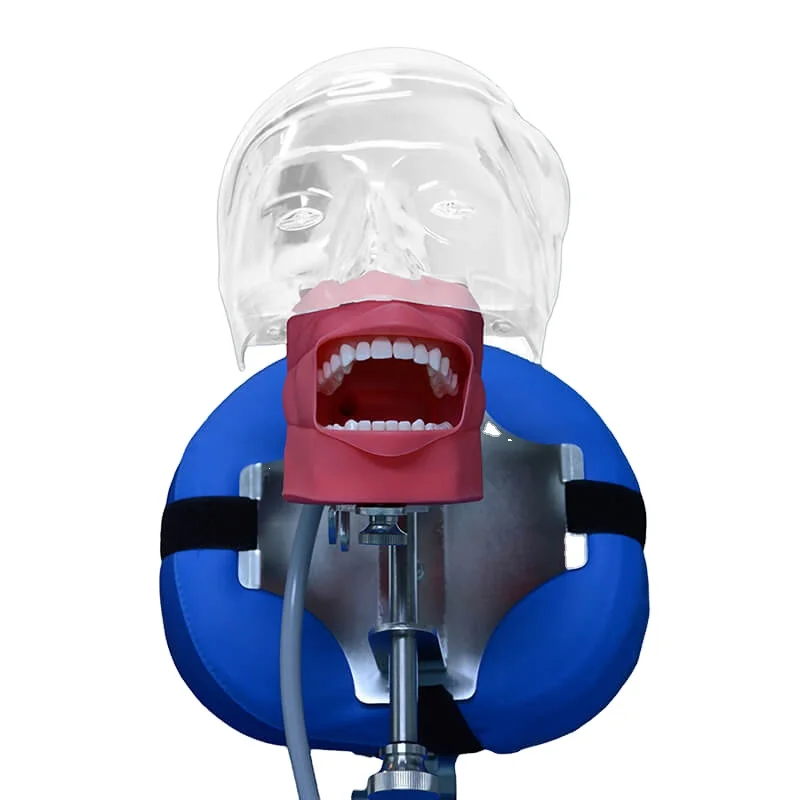 Dental Lab Strap-style Dental Chair Simulator Manikin Typodont Practice Adjustable Phantom Head