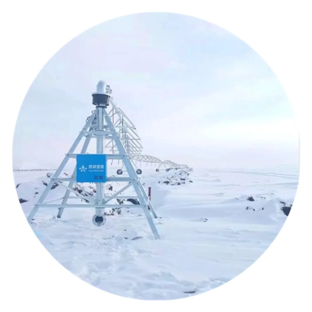 100 Hectare Large Scale Farming Center Pivot Irrigation Machine Systems in Low Cost For Maize