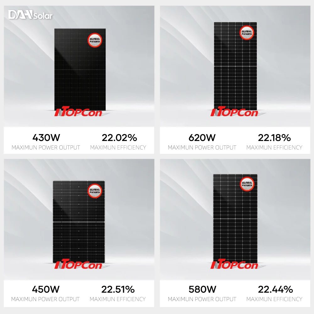 DAH Solar TOPCon N Type Trina Solar Module 600w 605w 610w 615w 620w 625w 630w Double Glass Panel Solar