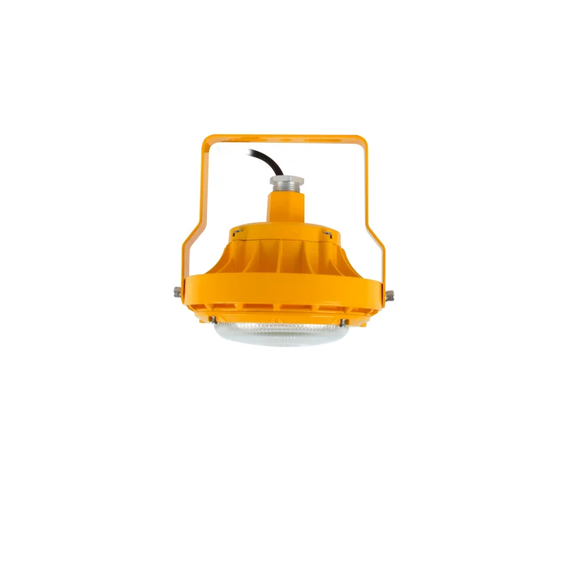 ATEX approved 220v 100w ex light fitting ceiling explosion proof LED lamps