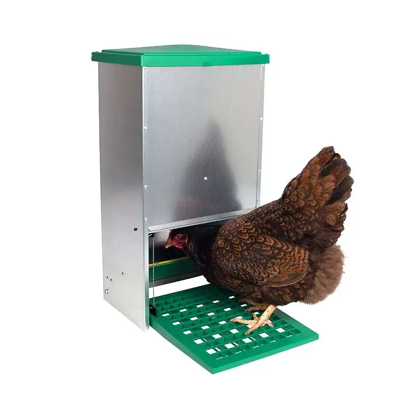 Metal Chicken Feed Machine Manufacturer Pedal Chicken Feeder Automatic Chicken Feeding Equipment Manufacturing