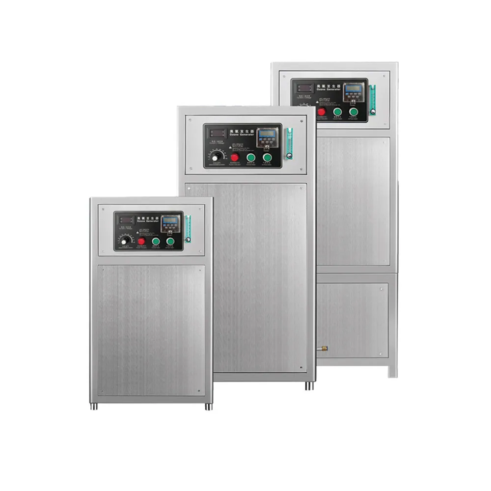 China manufacturer ozone system 10-1000g customized ozone generator for aquarium