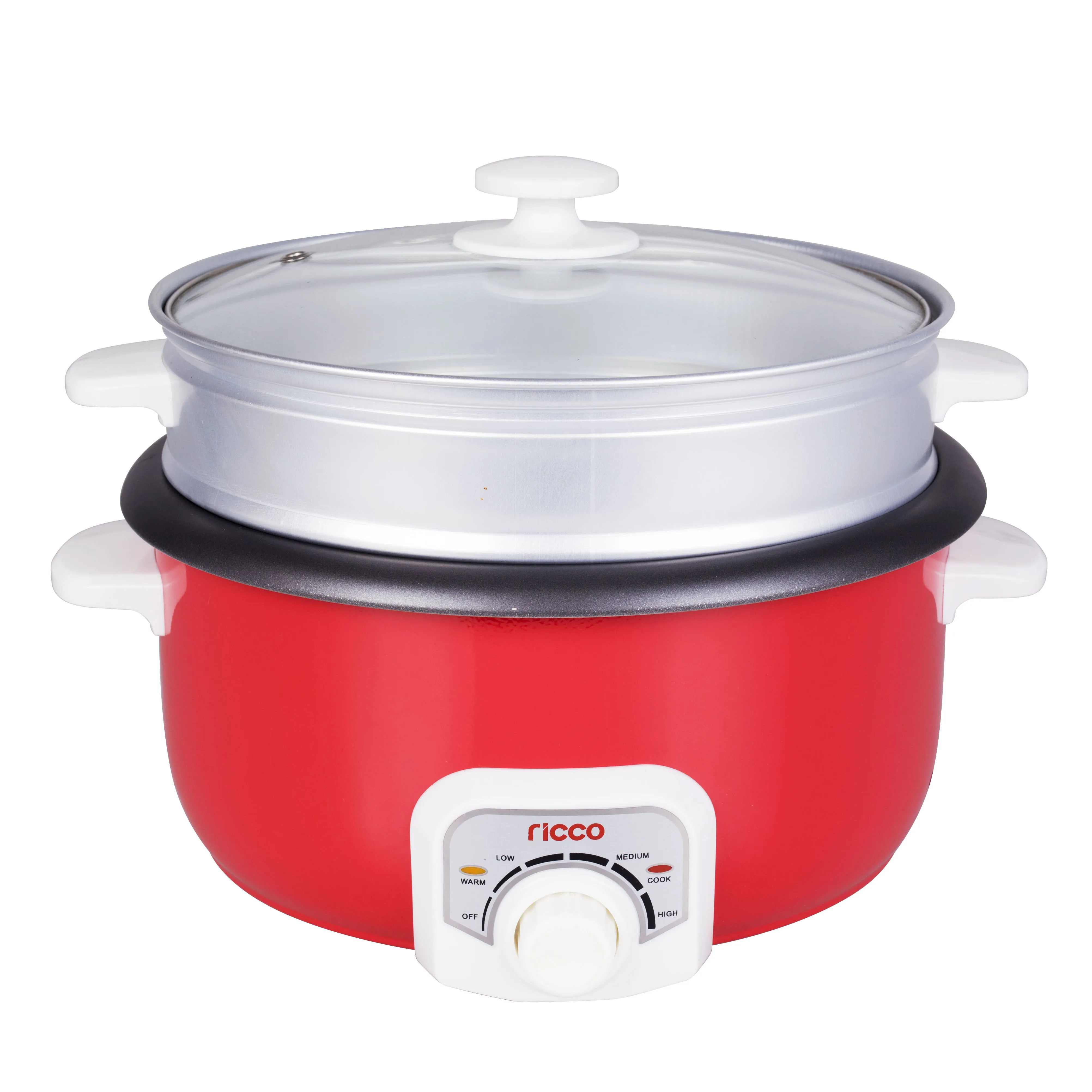 2022 RICCO TOP Sell electric hotpot