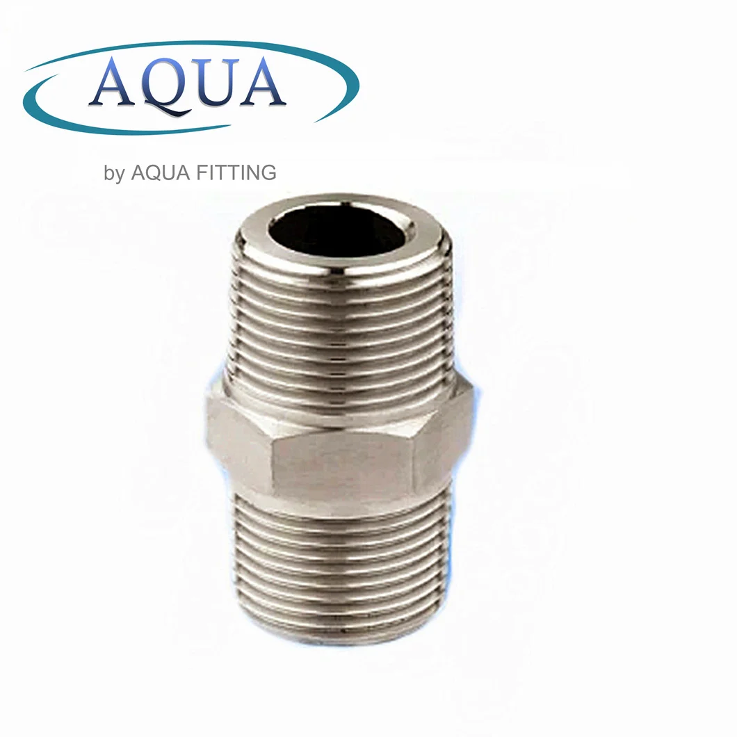 Quick Coupling Fitting SS Stainless Steel 304/316 Pipe Fitting Thread Screw Hex Nipple Barrel Nipple