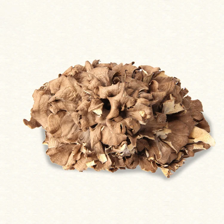 
healthy dried maitake mushroom raw grifola frondosa 1kg bulk price 