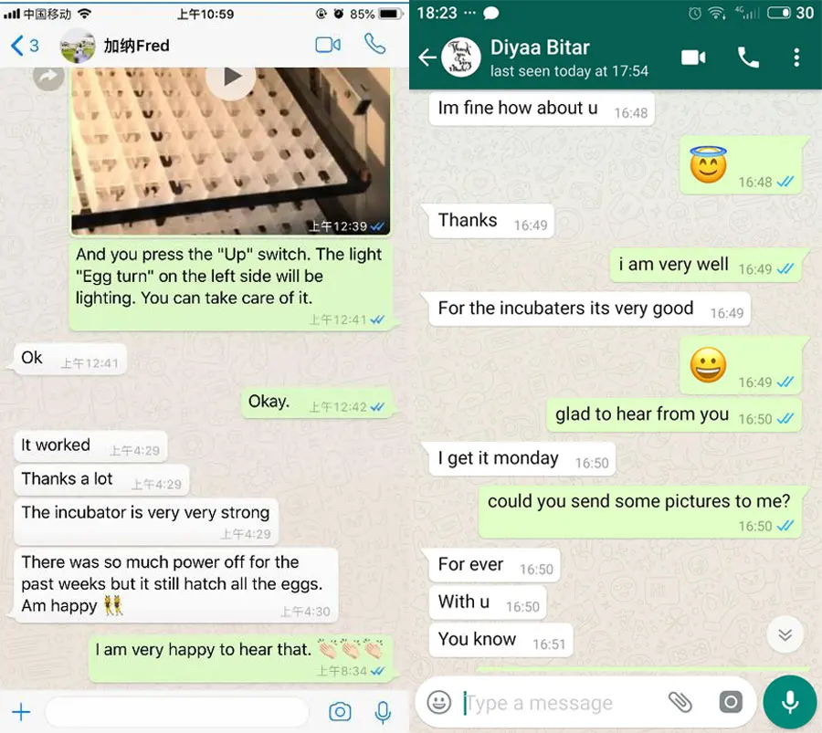 Chicken Duck Quail Trays Mini Lab Shaker Eggs Incubators Hatching