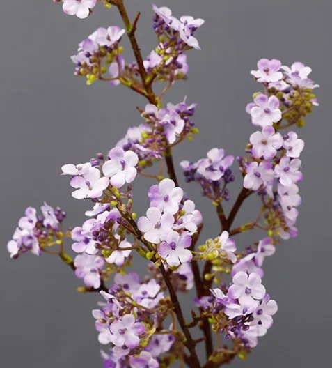 Factory cheap real touch artificial wholesale flowers cherry blossom branch decorative silk flowers branch for home decor