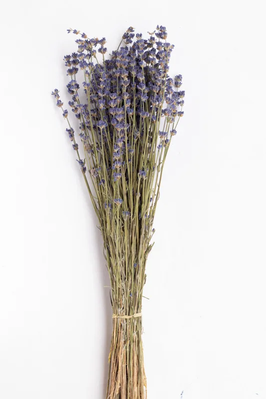 Wholesale High Quality Natural Good Smell Flower Bouquet Dried Lavender Flower