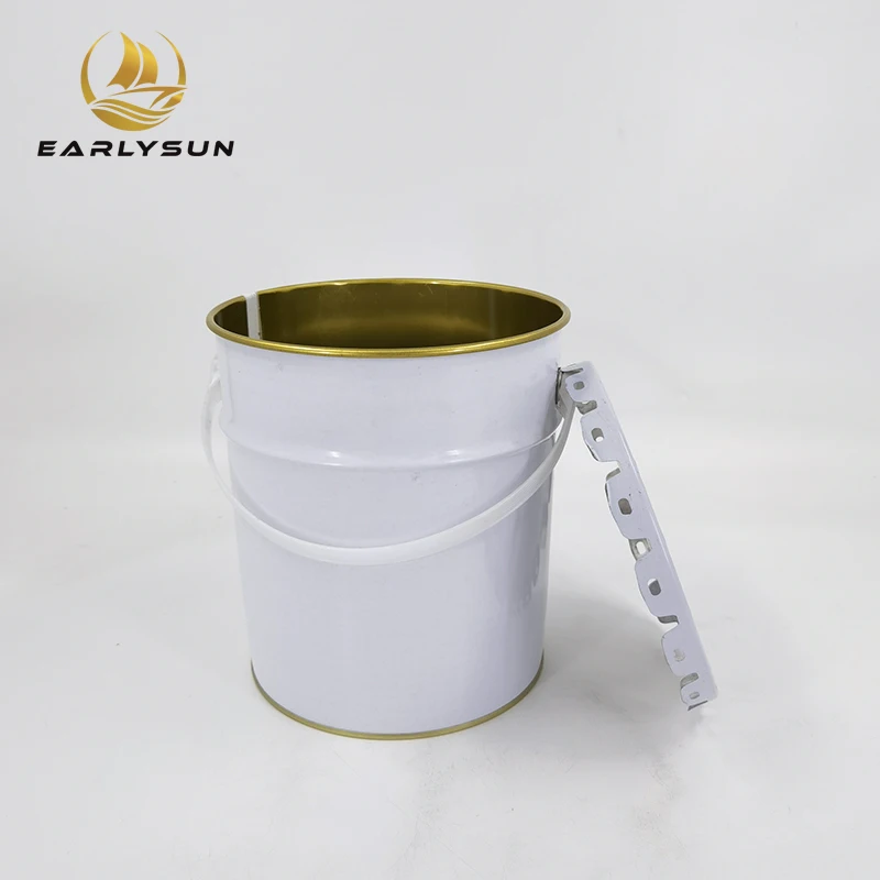 Cute Shape 5 Liter Metal Bucket Metal Tin Pail With Flower Lid And Plastic Handle