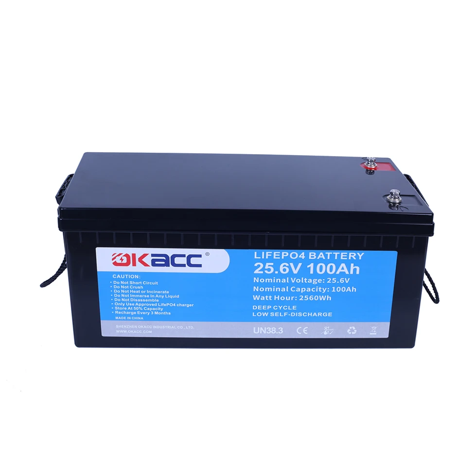 Global Bestseller Longer Lifespan Batterie Iron Phosphate Lithium Battery 24V 100Ah