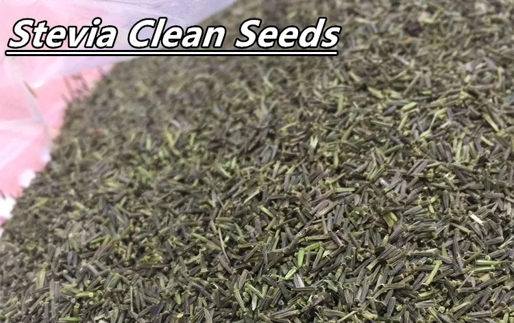 clean seeds.jpg