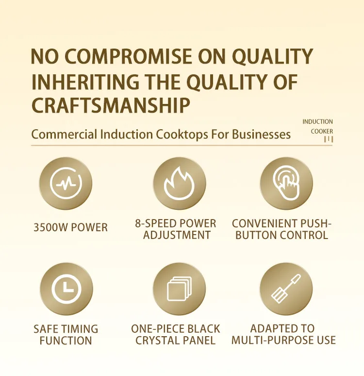 3500 Watt, 220 Volt, Multi-Function Concave Panel Induction Cooktop