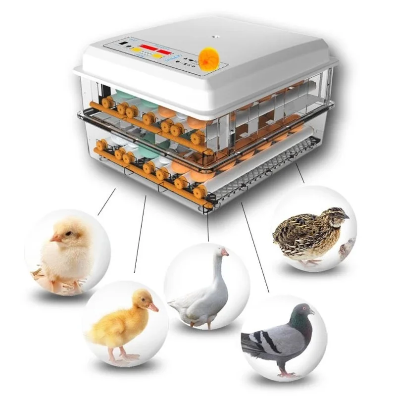 Eggs Incubator Brooder Bird Quail Chick Hatchery Incubator Poultry Hatcher Turner Automatic Farm Incubation Tools R1755