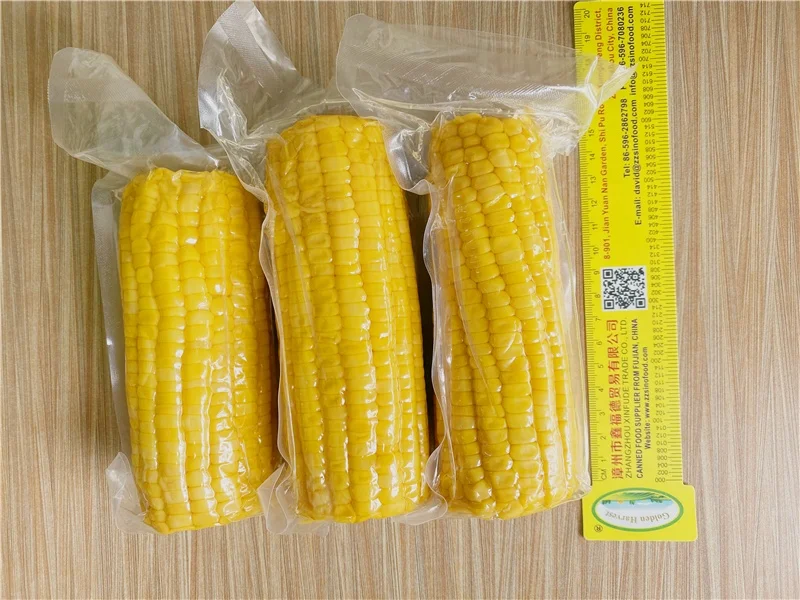 Fresh Vacuum pack Sweet Corn On The Cob in pouches Canned Maiz Dulce(sweetcorn)